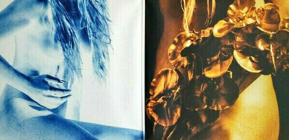 Vinyl Record Ellie Goulding - Brightest Blue (Gatefold) (2 LP) - 2