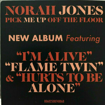Disque vinyle Norah Jones Pick Me Up Off The Floor (LP) - 7