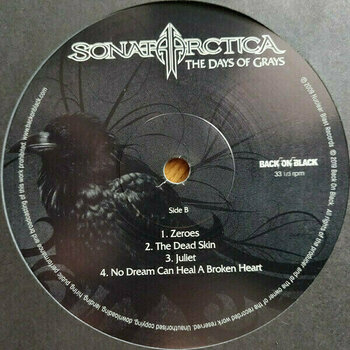 Vinyl Record Sonata Arctica - The Days Of Grays (Limited Edition) (2 LP) - 3