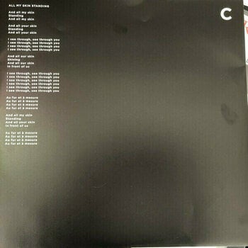 Disque vinyle The Young Gods Data Mirage Tangram (2 LP + CD) - 6