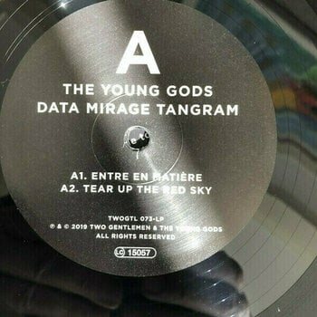 Vinylskiva The Young Gods Data Mirage Tangram (2 LP + CD) - 8