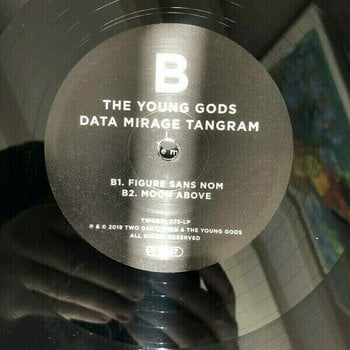 Vinyl Record The Young Gods Data Mirage Tangram (2 LP + CD) - 9
