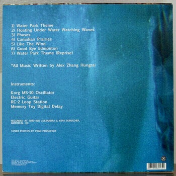 Hanglemez Dirty Beaches - Waterpark OST (10" Vinyl) - 4