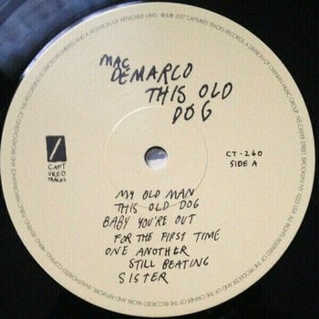 Vinyl Record Mac DeMarco - This Old Dog (LP) - 2