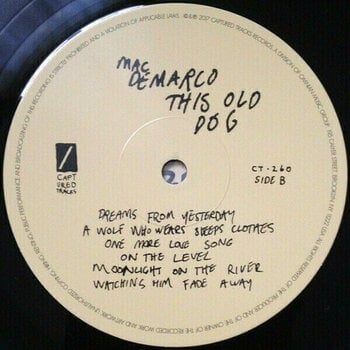 Schallplatte Mac DeMarco - This Old Dog (LP) - 3