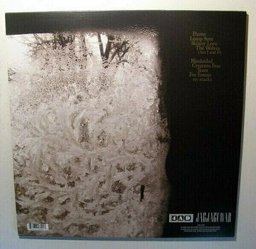 Disque vinyle Bon Iver - For Emma, Forever Ago (LP) - 2