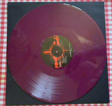 Disque vinyle Incubus Make Yourself (Velvet Purple Coloured) (2 LP) - 7