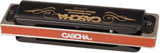 Diatonická ústní harmonika Cascha HH 2160 Professional Blues G Diatonická ústní harmonika - 2