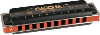 Diatonická ústní harmonika Cascha HH 2161 Professional Blues A Diatonická ústní harmonika - 1