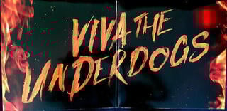 LP plošča Parkway Drive - Viva the Underdogs (2 LP) - 3