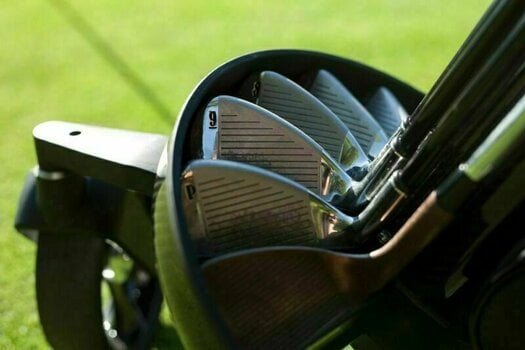 Carrito eléctrico de golf Golf Geum Technology Decolt Grand Carrito eléctrico de golf - 5