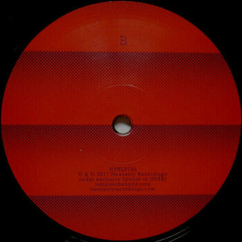 Vinyl Record Temples - Volcano (LP) - 3