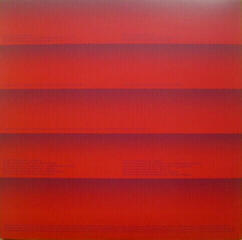 LP platňa Temples - Volcano (LP) - 5