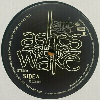 Disco de vinil Lamb Of God Ashes of the Wake (15th) (2 LP) - 3