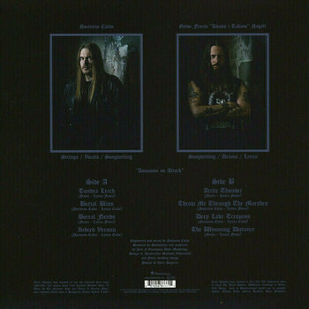 Vinylskiva Darkthrone - Arctic Thunder (12" Picture Disc LP) - 5