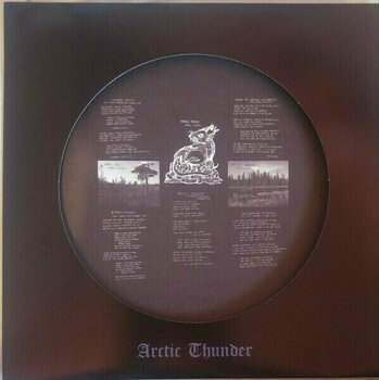 Disque vinyle Darkthrone - Arctic Thunder (12" Picture Disc LP) - 4