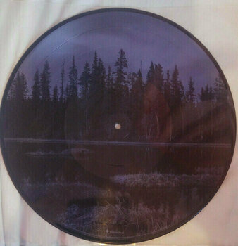 Hanglemez Darkthrone - Arctic Thunder (12" Picture Disc LP) - 3