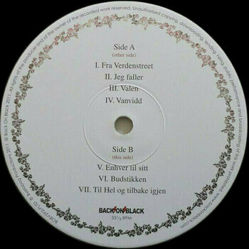 Vinyl Record Burzum - Fallen (LP) - 3