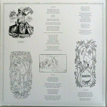 Vinyl Record Burzum - Fallen (LP) - 4