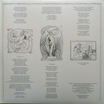 Vinylskiva Burzum - Fallen (LP) - 5