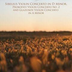 Disc de vinil Walter Hendl - Violin Concerto In D Minor, Op. 47 (LP) - 1