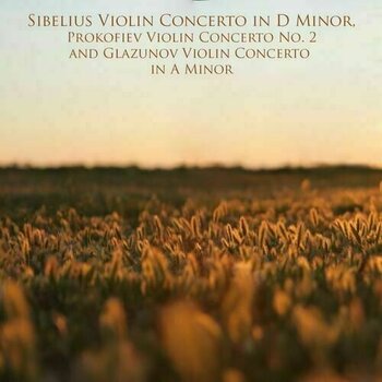 LP Walter Hendl - Violin Concerto In D Minor, Op. 47 (LP) - 2