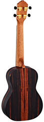 Concert Ukulele Ortega RUEB-CC Ebony Natural Concert Ukulele - 1