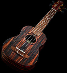 Concert Ukulele Ortega RUEB-CC Ebony Natural Concert Ukulele - 3