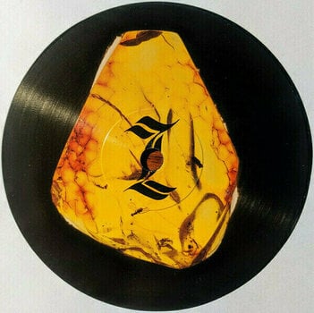 Грамофонна плоча Crumb - Jinx (LP) - 3