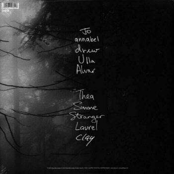 Schallplatte Goldfrapp - Tales of Us (LP) - 2
