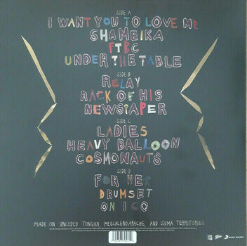 Hanglemez Fiona Apple - Fetch the Bolt Cutters (Gold Coloured) (2 LP) - 2