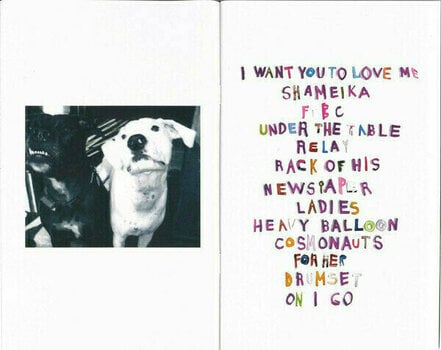 Hanglemez Fiona Apple - Fetch the Bolt Cutters (Gold Coloured) (2 LP) - 14