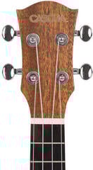Konserttiukulele Cascha HH2152 Natural Konserttiukulele - 4