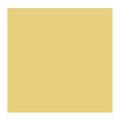 Ölfarbe Rembrandt 1052232 Ölgemälde Naples Yellow Deep 40 ml 1 stk - 1