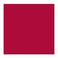 Olieverf Rembrandt 1053182 Olieverf Carmine 40 ml 1 st. - 1