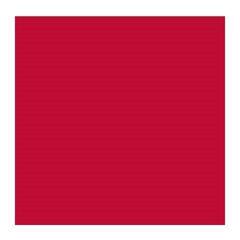 Olieverf Rembrandt 1053482 Olieverf Permanent Red Purple 40 ml 1 st. - 1