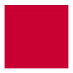 Oil colour Rembrandt 1053712 Oil Paint Permanent Red Deep 40 ml 1 pc - 1