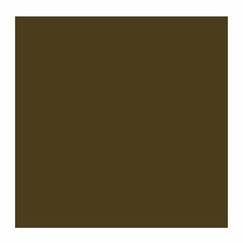 Oil colour Rembrandt Oil Paint 40 ml Raw Umber - 2