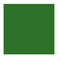 Tempera ad olio Rembrandt 1056232 Pittura a olio Sap Green 40 ml 1 pz - 1