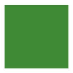 Olieverf Rembrandt 1056252 Olieverf Cinnabar Green Medium 40 ml 1 st. - 1