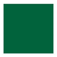 Oil colour Rembrandt 1056272 Oil Paint Cinnabar Green Deep 40 ml 1 pc - 1