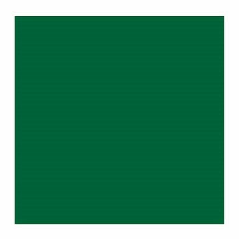 Oljna barva Rembrandt 1056272 Oljna barva Cinnabar Green Deep 40 ml 1 kos - 2