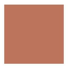 Oljna barva Rembrandt 1058112 Oljna barva Bronze 40 ml 1 kos - 1