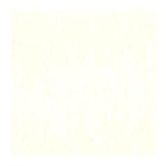 Cor de óleo Van Gogh 2051043 Tinta a óleo Zinc White 40 ml 1 un. - 1