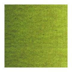 Öljyväri Van Gogh 2056203 Öljymaali Olive Green 40 ml 1 kpl - 1