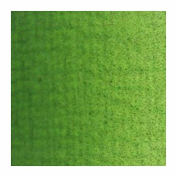 Farba olejna Van Gogh Farba olejna 40 ml Sap Green - 2