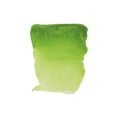 Aquarellfarbe Rembrandt Professional Aquarellfarbe Permanent Yellowish Green 10 ml 1 stk - 1