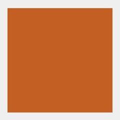 Pittura a guazzo
 Talens Extra Fine Vernice a guazzo Raw Sienna 50 ml 1 pz - 1