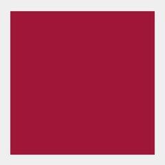 Gouache malt
 Talens Extra Fine Gouachefarbe Carmine 50 ml 1 Stck - 1