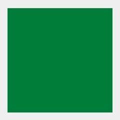 Peinture à la gouache
 Talens Extra Fine Peinture gouache Green 50 ml 1 pc - 1